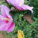 향교로R 이미지