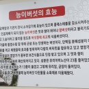 숫지다능이버섯갈비탕&삼계탕 이미지