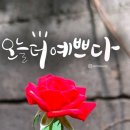 8월 21일 수욜 용방 출석부 이미지