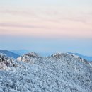 소백산 | 2025년 기억에 남는 산행지 TOP 3｜소백산·가지산·월출산 후기