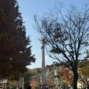 (주) 소망소프트 | 한국민속촌 데이트🤍 귀신이란 귀신은 다 보고 온 살귀옥 / 혈안식귀 / 조선살인수사 후기