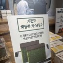 여수카스테라우체국