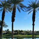 미국 PGA WEST 라운딩 후기 | 팜스프링스 골프장 아메리칸 익스프레스 대회 코스 | 12월 팜스프링스 날씨