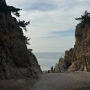 석문농장 | [공지] 당진 장고항 실치회축제｜딱지금, 봄에만 먹을 수 있는 실치회, 옥겸이네, 처음 먹어본 솔직후기