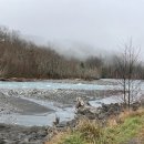 엘와이지 이미지