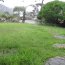 뜨락풍경 이미지