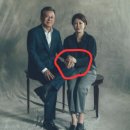 다혜