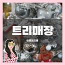 대구 트리 매장 칠성시장 아트플라워마트 구매후기