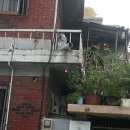 신선동-6 이미지