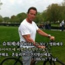 바디쉐프