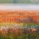 대명유수지 - 3898 | 대명유수지