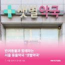 강서지금약국 이미지