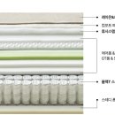 세레인 이미지