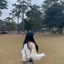 안도트 | 잔디의 일본 여행기 2 /오사카 교토 여행 추천, 기모노 대여 / 나라 사슴공원/오사카 2박 3일 자유여행...