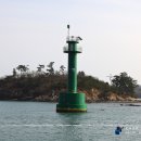 월명유람선 이미지