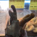 울릉해수목욕탕 이미지