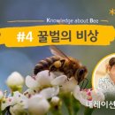 꿀벌어린이집 이미지