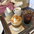 144 | 광양 애견동반 카페 추천 라운지144 방문 후기