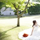 베트남웨딩스튜디오 이미지