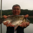 내사는이야기 이미지