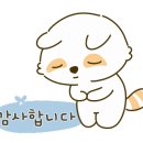 연수차썬팅 이미지