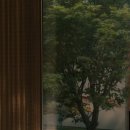하바구