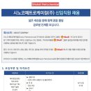 [SINOKOR PETROCHEMICAL 채용] 시노코페트로케미컬㈜ 신입직원 채용(11/09~11/15) 이미지