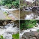 유명산캠핑장 | 유명산라온캠핑장 직접 다녀온 솔직 후기