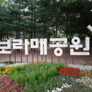 보라매공원 이미지