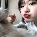 이원심천로 이미지