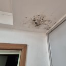 천안용곡초등학교 이미지