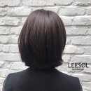 시크초이스 이미지