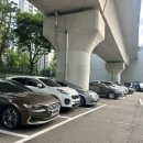 돼랑이투칼국수 이미지