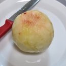 김종달농장 네이버블로그