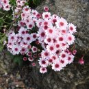 구방마루 이미지