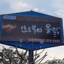 신토불이옻닭 이미지