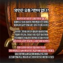 알쓸와잡ep7. '와인의 유통기한' 이미지