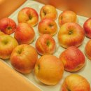 공수농장 | 바다진 사과농장 후기 -올해 마지막 수확분, 진짜 당도 최고였어요