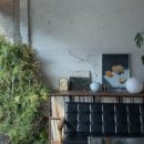 하벳(HAVET) 이미지