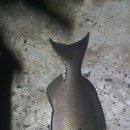 마라도 바다민박 이미지