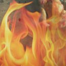 김포메추리농장 이미지