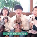 명랑도그 이미지