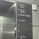 우프 | [의정부] 신상 애견카페 운동장 의정부 우프라운지 내돈내산 아쉬운 후기