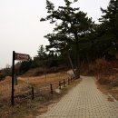 선덕여왕릉 화장실 이미지