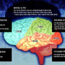 지성전기 이미지