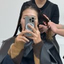 광화문 미용실 파인트리 헤어살롱 클리닉후기