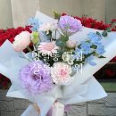 샬롬플라워 네이버블로그