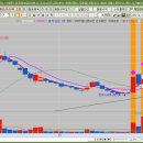 주식회사 나무에이아이(Namu.ai) | 2026.02.27 - SG세계물산, 계양전기, 나무기술, 모베이스전자, 우리산업홀딩스