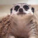 석현1농장 이미지