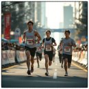 하천(갑천4) | 2026 대전 3대하천마라톤 접수 시작🔥 참가비 3만원대 실화? 선착순 마감 주의